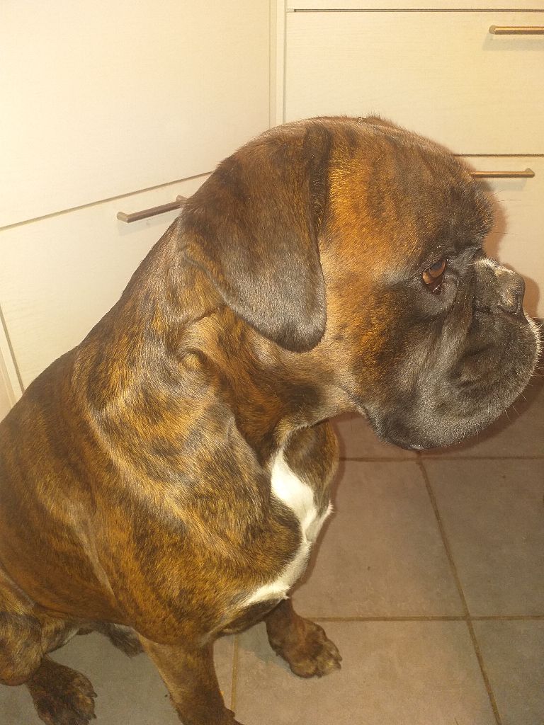 Otto du cinquième dome du Cinquième Dôme